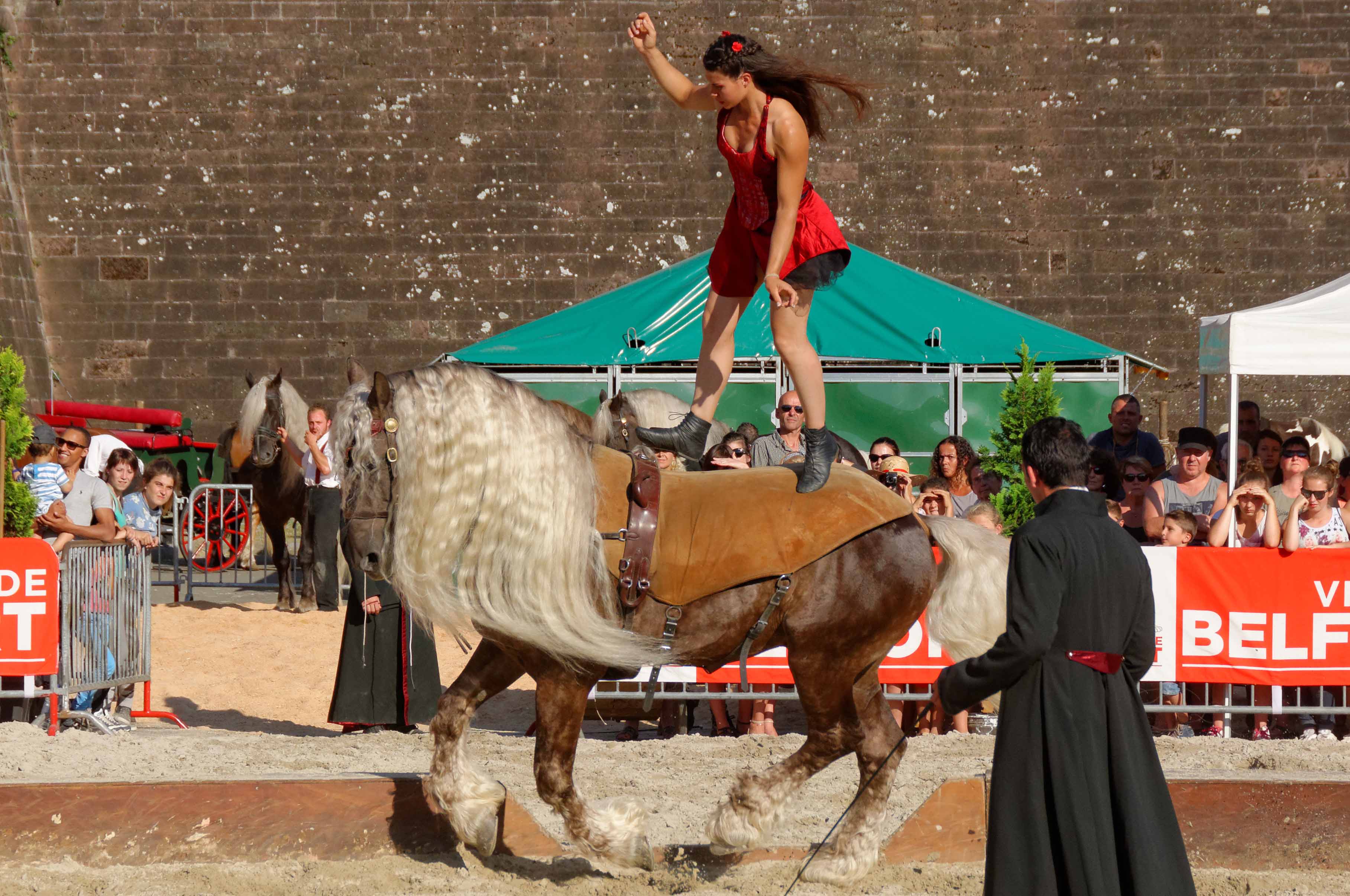 Show equestre